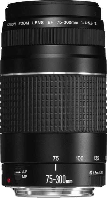 Canon EF 75-300mm f4-5.6 III Lens