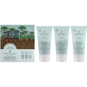 Paul Mitchell Awapuhi Wild Ginger Nourishing Travel Kit Paul Mitchell Awapuhi Wild Ginger Nourishing Travel Kit