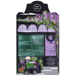 Paul Mitchell Tea Tree Lavender Mint Moisturising Gift Set Paul Mitchell Tea Tree Lavender Mint Moisturising Gift Set