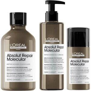 L'Oreal Professionnel L'Oréal Professionnel Serie Expert Absolut Repair Molecular Hair Sham