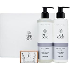 Bee Good Plant a Meadow 'Wild Lavender & Comfrey' Gift Set