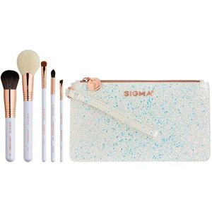 Sigma Beauty Holiday Glam Brush Set