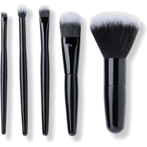 Mii Cosmetics 5-Piece Mini Makeup Brush Set Mii Cosmetics 5-Piece Mini Makeup Brush Set
