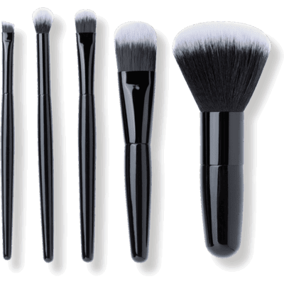 Mii Cosmetics 5-Piece Mini Makeup Brush Set Mii Cosmetics 5-Piece Mini Makeup Brush Set
