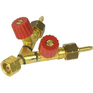 Bullfinch Two-Way Outlet Valve