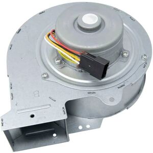 Rinnai A Series 17i Fan Motor Assembly