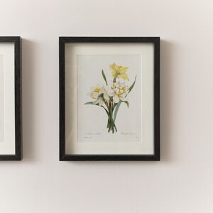 Vintage White Daffodil Flower Framed Wall Print 20cm x 25cm Material: Home Decor & Accessories Vintage White Daffodil Flower Framed Wall Print 20cm x 25cm Material: Home Decor & Accessories