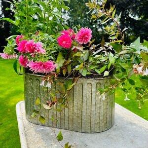 Large Rustic Metal Bucket Planter Pot Material: Metal