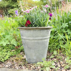 Rustic Grey Metal Bucket Planter Pot Material: Metal