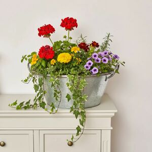 Large Silver Galvanised Metal Trough Planter Pot - 55cm Material: Garden Large Silver Galvanised Metal Trough Planter Pot - 55cm Material: Garden