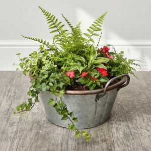 Medium Silver Galvanised Metal Trough Planter Pot - 40cm Material: Garden Medium Silver Galvanised Metal Trough Planter Pot - 40cm Material: Garden