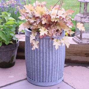 Small Grey Metal Tub Planter Material: Metal