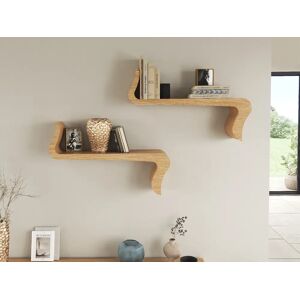 Tom Schneider Serpent Shelves