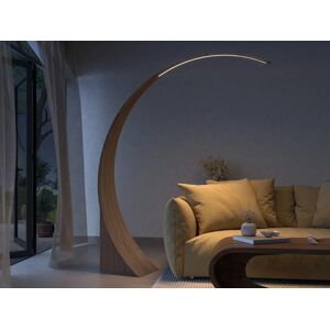 Tom Schneider Swoop Floor Light