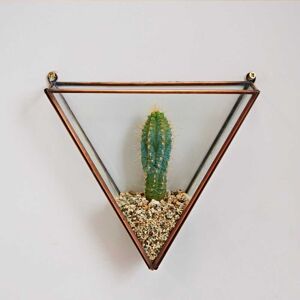 Paper high Triangular Recycled Glass Wall Terrarium - S