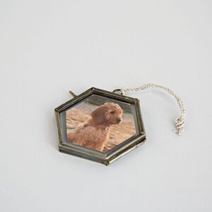 Paper high Alia Mini Glass Hexagon Hanging Photo Frame - Antique Silver