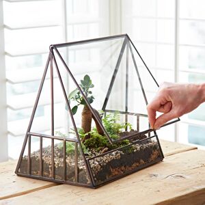 Paper high Recycled Glass Greenhouse Terrarium