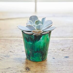 Paper high Recycled Plastic Mini Houseplant Pot - Green