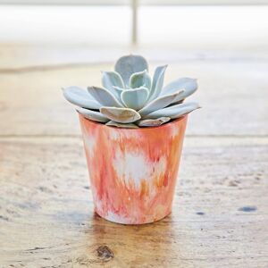 Paper high Recycled Plastic Mini Houseplant Pot - Multicoloured