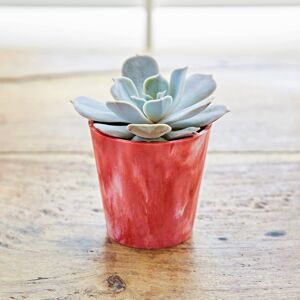 Paper high Recycled Plastic Mini Houseplant Pot - Red