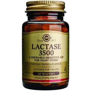 Solgar Lactase 3500 - Vanilla Flavour - 30 Chewable Wafers