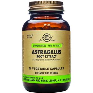 Solgar Astragalus Root Extract - 60 Vegicaps - Herbal Supplement Solgar Astragalus Root Extract - 60 Vegicaps - Herbal Supplement
