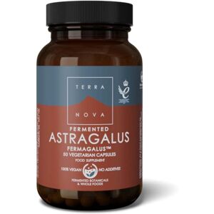 Terranova Fermented Astragalus - 50 Capsules Terranova Fermented Astragalus - 50 Capsules