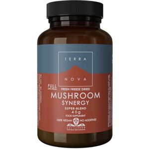 Terra Nova Mushroom Synergy Super-Blend - 40g - Supplements Terra Nova Mushroom Synergy Super-Blend - 40g - Supplements