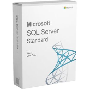 Microsoft SQL Server 2022 Standard 1 User CAL Microsoft SQL Server 2022 Standard 1 User CAL