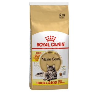 Royal Canin Breed Royal Canin Maine Coon Adult - 10kg + 2kg Free!