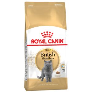 Royal Canin Breed Royal Canin British Shorthair Adult - Economy Pack: 2 x 10kg