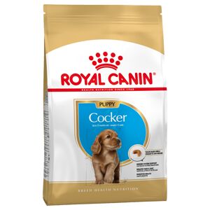 Royal Canin Breed Royal Canin Cocker Spaniel Puppy - 3kg