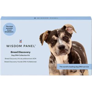 Wisdom Panel™ Breed Discovery Dog DNA Test - 1 Test