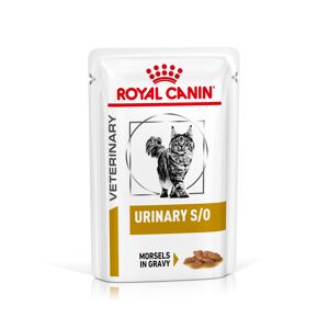 Royal Canin Veterinary Diet Royal Canin Veterinary Feline Urinary S/O in Gravy - Saver Pack: 48 x 85g