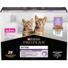 PURINA PRO PLAN Kitten Healthy Start - Saver Pack: Turkey in Gravy (20 x 85g)