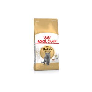 Royal Canin British Shorthair Adult Cat Food 2kg