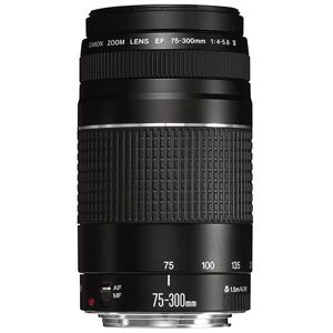 Canon EF 75-300mm f/4-5.6 III Lens