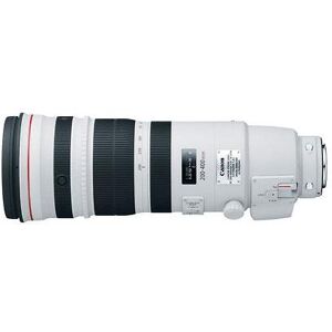 Canon EF 200-400mm f/4L IS USM Lens with Extender 1.4x