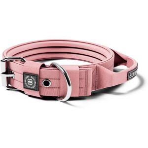 BullyBillows 4cm Pin Buckle Collar With Handle & Robust Hardware - Pink S