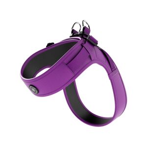 BullyBillows Boomerang Harness - Non Restrictive, Lightweight, Small - Medium Breeds - Purple S