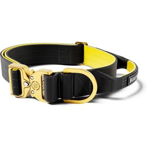 BullyBillows 4cm LIGHTER Combat Collar With Handle Rated Clip - Black, Yellow & Gold L