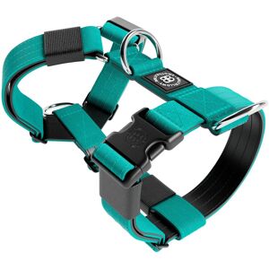 BullyBillows TRI-Harness Anti-Pull, Adjustable & Durable - Dog Trainers Choice - Turquoise v2.0