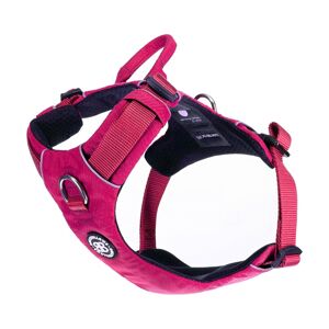BullyBillows Air Mesh Harness - Anti-Pull, With Handle, Non Restrictive & Adjustable - Carminerose M