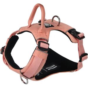 BullyBillows Air Mesh Harness - Anti-Pull, With Handle, Non Restrictive & Adjustable - Pink S