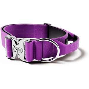 BullyBillows 5cm Combat Collar With Handle & Rated Clip - PLATINUM Purple v2.0 L