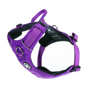 BullyBillows Air Mesh Harness - Anti-Pull, With Handle, Non Restrictive & Adjustable - Purple M