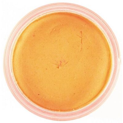 Berkley Powerbait Biodegradable Trout Bait - Fishing Bait Berkley Powerbait Biodegradable Trout Bait - Fishing Bait