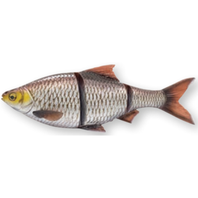 Savage Gear - Line Thru Roach 4D - 32cm - Silver Bream Ghost Savage Gear - Line Thru Roach 4D - 32cm - Silver Bream Ghost