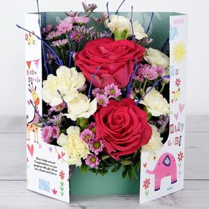 www.flowercard.co.uk New Baby Girl Celebration Flowers with Dutch Roses, Spray Carnations and Lilac Birch Twigs