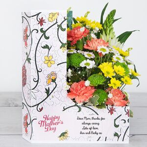 www.flowercard.co.uk Mother's Day Flowers with Spray Carnations, Stallion Spray Chrysanthemum, Santini and Gypsophila